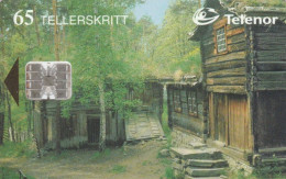 PHONE CARD NORVEGIA (E86.22.4 - Noruega