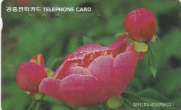 PHONE CARD COREA SUD (E86.2.8 - Korea, South