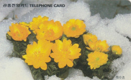 PHONE CARD COREA SUD (E86.2.1 - Korea (Zuid)