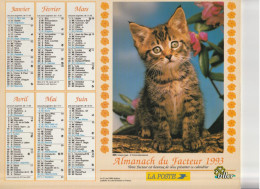 Calendrier-Almanach Des P.T.T 1993 -Chaton Tigré-Chatons Roux- Département AIN-01-Référence 405 - Grand Format : 1991-00