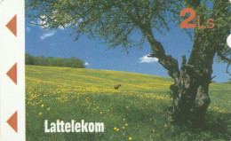 PHONE CARD LETTONIA (E88.10.2 - Letonia