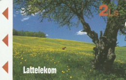 PHONE CARD LETTONIA (E88.10.3 - Lettonie