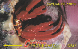 PHONE CARD CAYMAN ISLAND (E89.9.6 - Islas Caimán