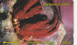 PHONE CARD CAYMAN ISLAND (E89.9.5 - Isole Caiman