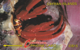 PHONE CARD CAYMAN ISLAND (E89.9.7 - Kaaimaneilanden