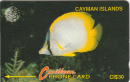 PHONE CARD CAYMAN ISLAND (E89.8.5 - Islas Caimán