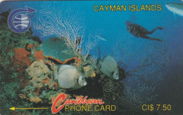 PHONE CARD CAYMAN ISLAND (E89.7.4 - Isole Caiman