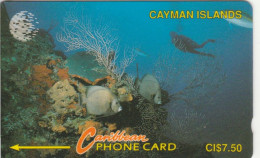 PHONE CARD CAYMAN ISLAND (E89.7.1 - Kaimaninseln (Cayman I.)