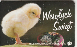 PHONE CARD POLONIA CHIP (E90.16.1 - Polen