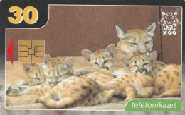 PHONE CARD ESTONIA  (E90.13.8 - Estonia