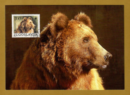 Jugoslawien  1988 , Braunbär / Brown Bear - WWF Maximum Card - First Day  Beograd 1.2.1988 - Tarjetas – Máxima