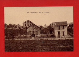 CPA - 95 - MERIEL : Rue Du Val Mary - Meriel