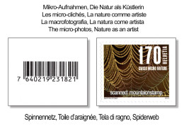 Switzerland 2024 Naturmuster Motifs Naturels Motivi Naturali Natural Patterns Spinne Arachnida Araignée Spider Ragno - Unused Stamps