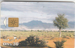 PHONE CARD EMIRATI ARABI  (E94.17.2 - Emiratos Arábes Unidos