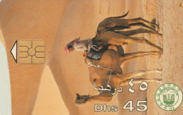 PHONE CARD EMIRATI ARABI  (E94.16.8 - Emiratos Arábes Unidos