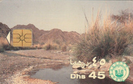 PHONE CARD EMIRATI ARABI  (E94.16.4 - Emiratos Arábes Unidos