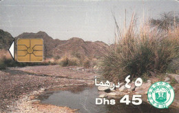 PHONE CARD EMIRATI ARABI  (E94.16.3 - Emirats Arabes Unis