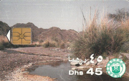 PHONE CARD EMIRATI ARABI  (E94.16.3 - Ver. Arab. Emirate