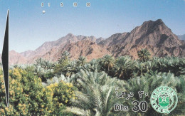 PHONE CARD EMIRATI ARABI  (E94.12.3 - Emirati Arabi Uniti