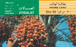 PHONE CARD EMIRATI ARABI  (E94.10.3 - Emiratos Arábes Unidos