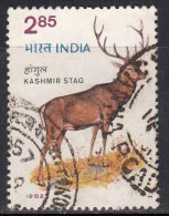 India Used 1982, Wildlife Week, Red Deer, Kashmir Stag, Wild Life, Animal  ,  (sample Image) - Usados