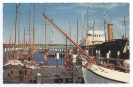 Niederlande Terschelling Haven 1966 - Terschelling