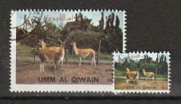 Umm Al Qiwain 1972 Animali Selvaggi - Wild Animals - Guanaco (Lama Guanicoe) + Ministamp CTO - Vaches