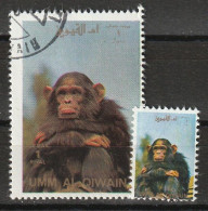 Umm Al Qiwain 1972 Animali Selvaggi - Wild Animals - Chimpanzee (Pan Troglodytes) + Ministamp CTO - Chimpansees