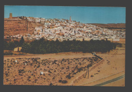 Ghardaia / Bounoura - Vue Générale - Ghardaïa