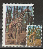 Umm Al Qiwain 1972 Animali Selvaggi - Wild Animals - Giraffe (Giraffa Camelopardalis) + Ministamp CTO - Giraffen