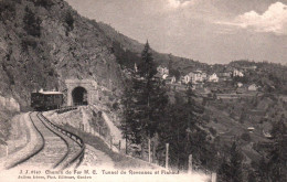 21 124  CHEMIN DE FER Le Tunnel De Revennez Et Finhaut ( Train Devant Tunnel,  Ligne Martigny , Chamonix ) ( 2 Scans) - Finhaut