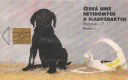 PHONE CARD REPUBBLICA CECA  (E95.19.6 - Tschechische Rep.