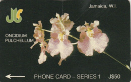 PHONE CARD GIAMAICA  (E97.23.8 - Giamaica