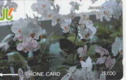 PHONE CARD GIAMAICA  (E97.23.5 - Giamaica