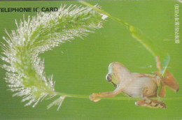 PHONE CARD COREA SUD  (E97.8.7 - Korea, South