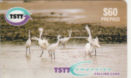 PREPAID PHONE CARD TRINIDAD TOBAGO  (E98.11.5 - Trinidad En Tobago