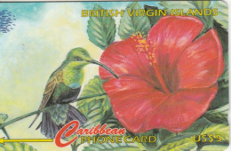 PHONE CARD BRITISH VIRGIN ISLAND  (E98.10.1 - Isole Vergini