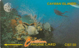 PHONE CARD CAYMAN ISLANDS  (E98.9.6 - Isole Caiman