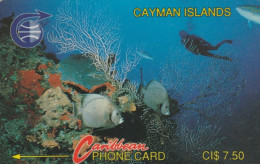 PHONE CARD CAYMAN ISLANDS  (E98.9.4 - Kaaimaneilanden