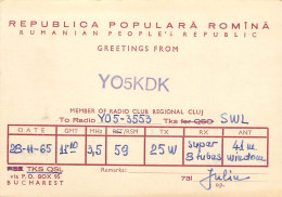 Radio Amateur QSL Card Romania Y02KDK Cluj Y05-3553 - Radio Amateur