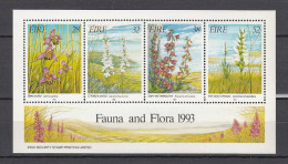 Irlanda Nuovi:  BF  N. 10 - Blocks & Sheetlets