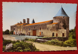 CPSM Petit Format -  Coulonges-sur-l'Autize -(Deux-Sèvres )- Ferme Du Payré - Coulonges-sur-l'Autize