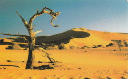 PHONE CARD NAMIBIA  (E99.5.7 - Namibie