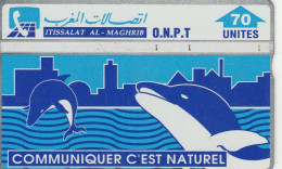 PHONE CARD MAROCCO  (E99.1.5 - Marocco