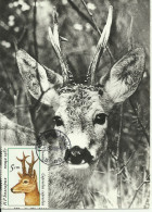 Cartes Maximum - Bulgarie - Chevreuil - Roe Deer - Capreolus Capreolus - Storia Postale