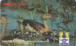 PHONE CARD SRI LANKA  (E100.6.2 - Sri Lanka (Ceilán)