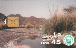 PHONE CARD EMIRATI ARABI  (E102.9.6 - Ver. Arab. Emirate