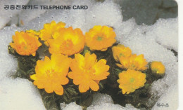 PHONE CARD COREA SUD  (E102.1.5 - Corea Del Sur