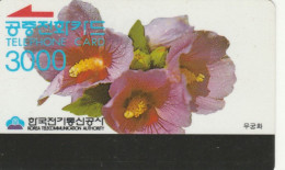 PHONE CARD COREA SUD  (E102.1.3 - Corea Del Sur