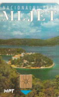 PHONE CARD CROAZIA (E103.27.1 - Croatia